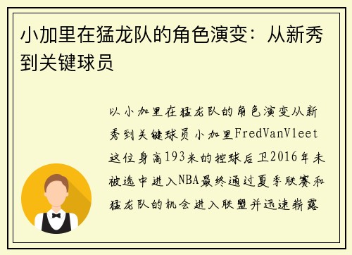 小加里在猛龙队的角色演变：从新秀到关键球员